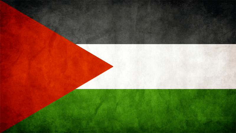Flag palestine